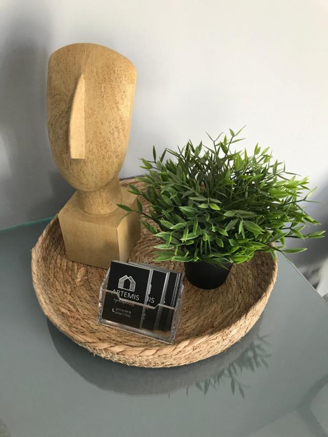Artemis Apartments 디아코프토 외부 사진