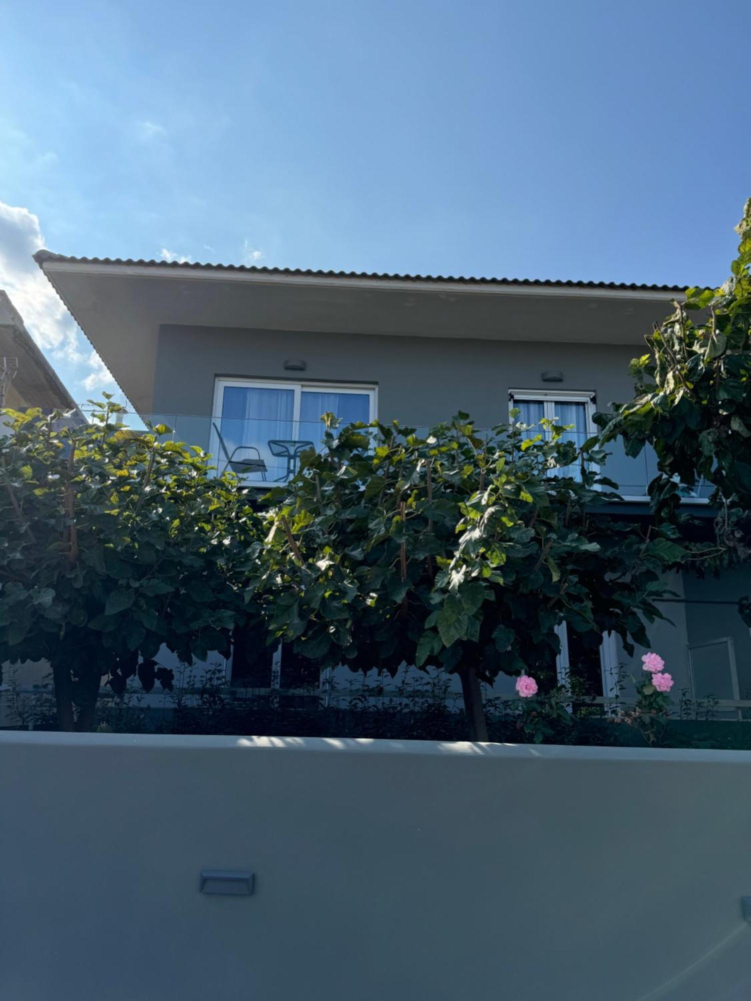 Artemis Apartments 디아코프토 외부 사진